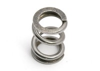 Slipper Spring